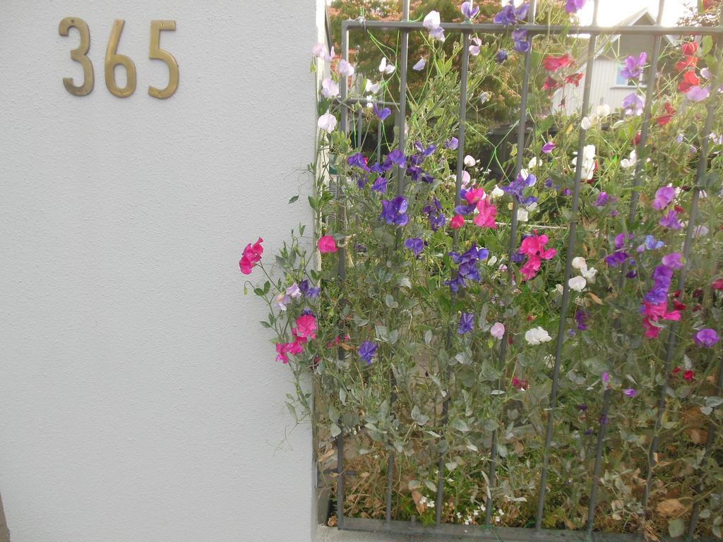 Garden Bed And Breakfast Christchurch Dış mekan fotoğraf