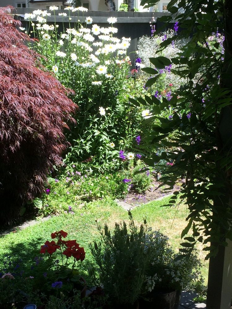 Garden Bed And Breakfast Christchurch Dış mekan fotoğraf