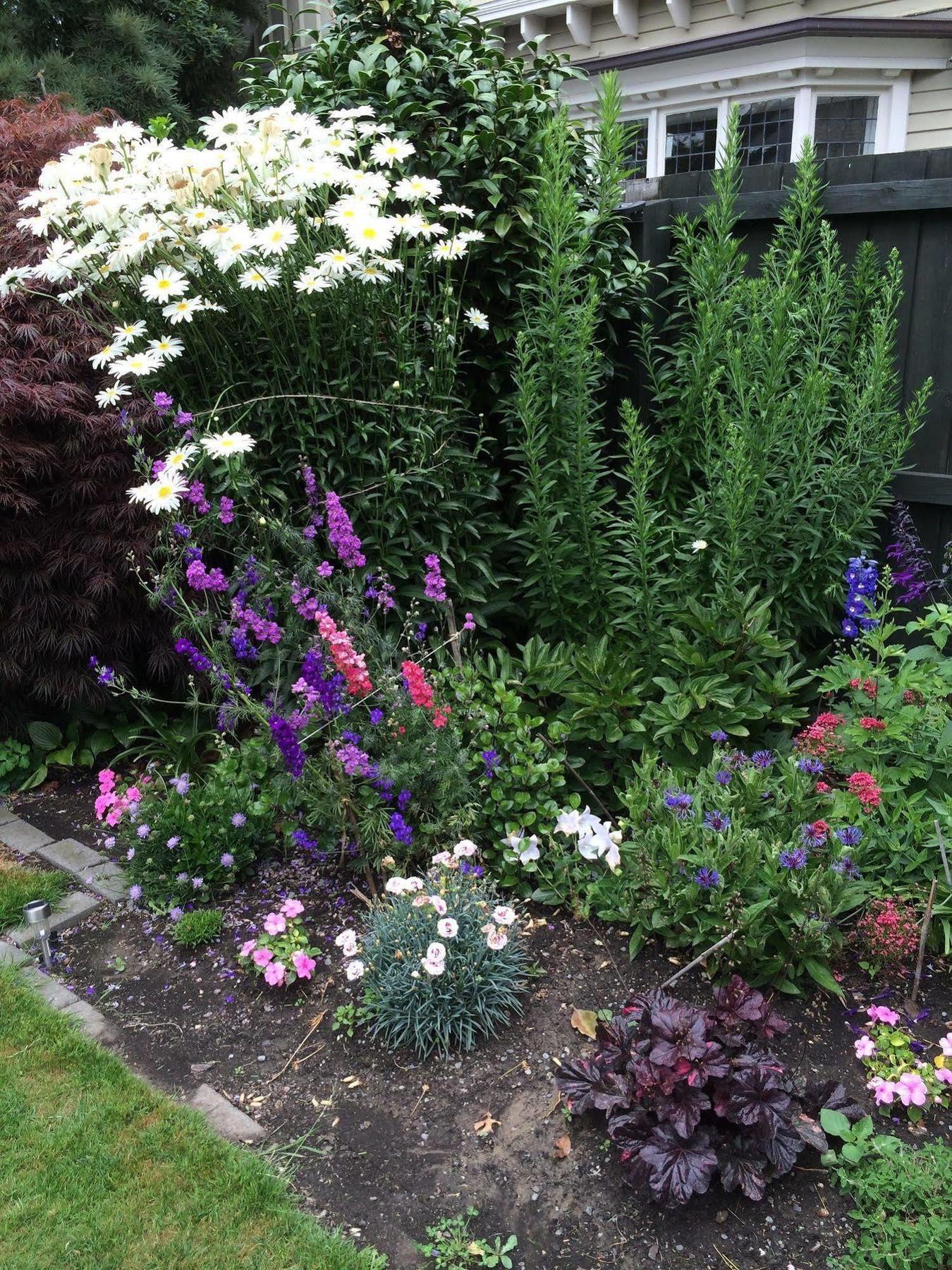 Garden Bed And Breakfast Christchurch Dış mekan fotoğraf